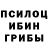 Псилоцибиновые грибы прущие грибы Liviv Kivi